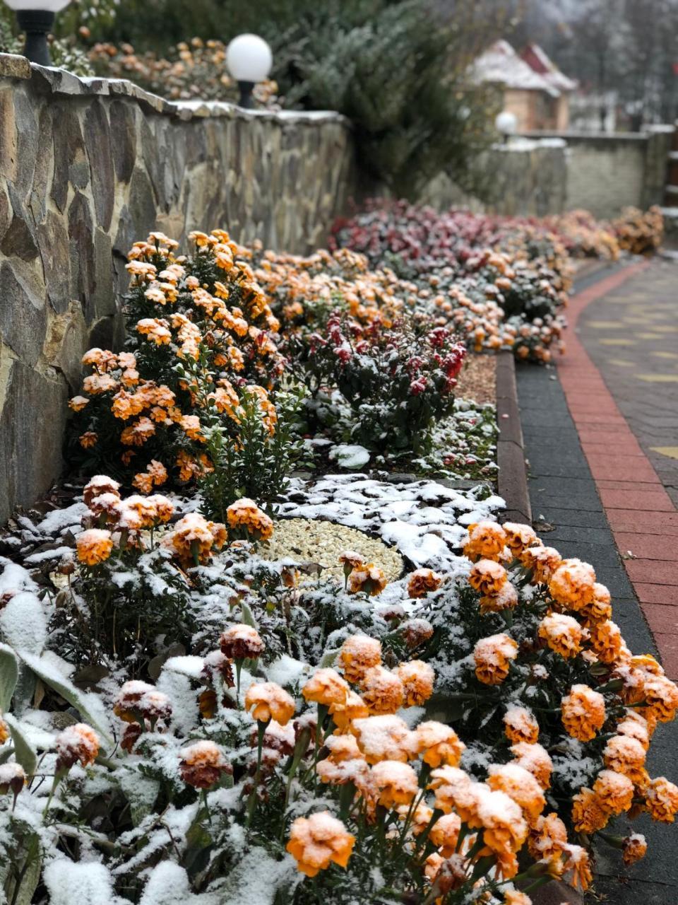Hotel Karpatska Mria Yaremche Exterior foto